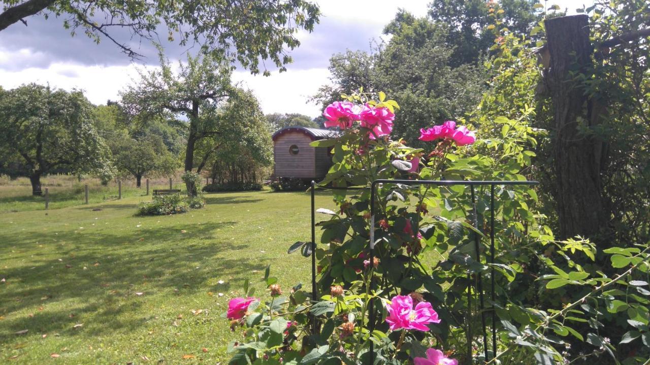 Bed and Breakfast Roulotte le temps de rever à Saint-Michel-sur-Meurthe Extérieur photo