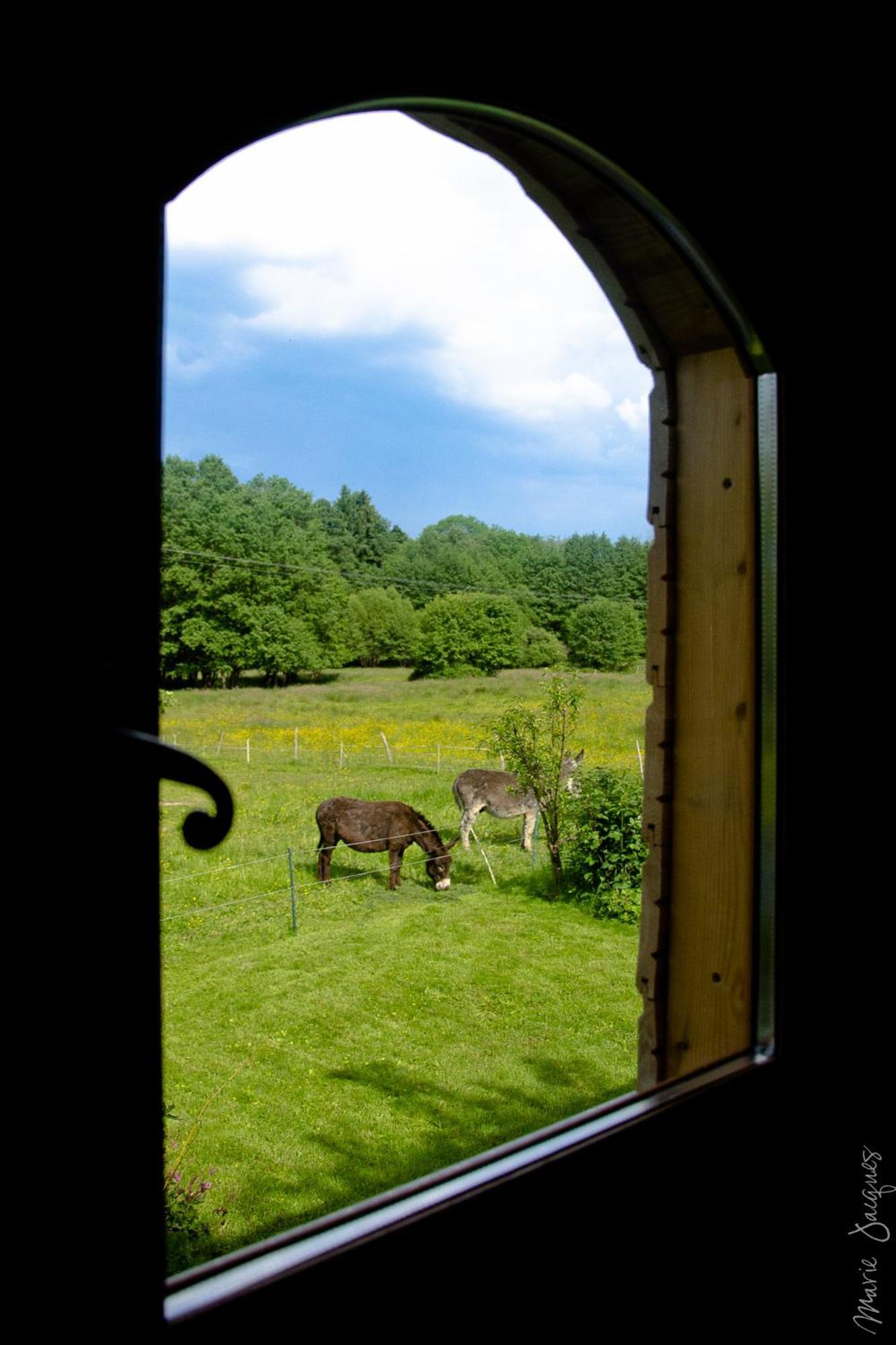 Bed and Breakfast Roulotte le temps de rever à Saint-Michel-sur-Meurthe Extérieur photo